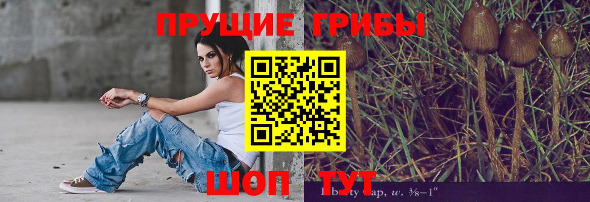 Галлюциногенные грибы Cubensis  Галлюциногенные грибы мицелий  купить наркотики сайты  Вход с VPN  Советский 